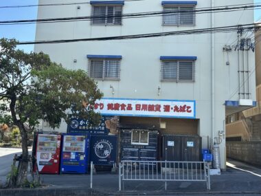 サニーコート風蘭